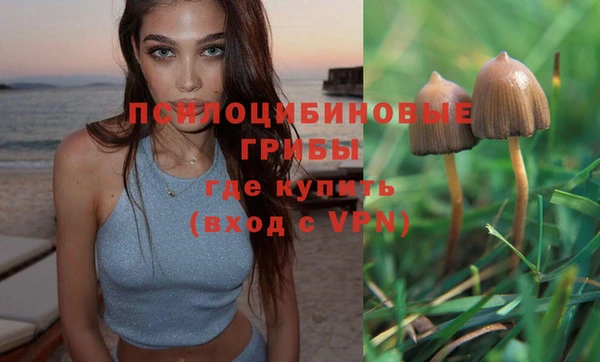 apvp Баксан