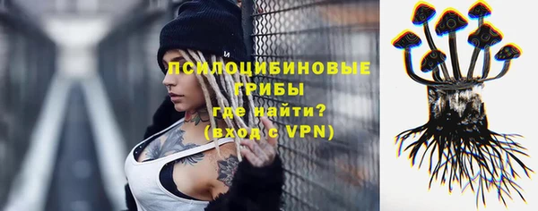 spice Сосновый Бор